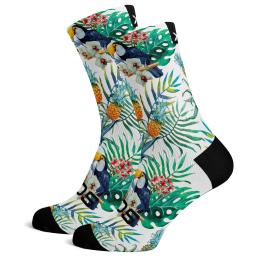 SOX TROPICAL.jpg